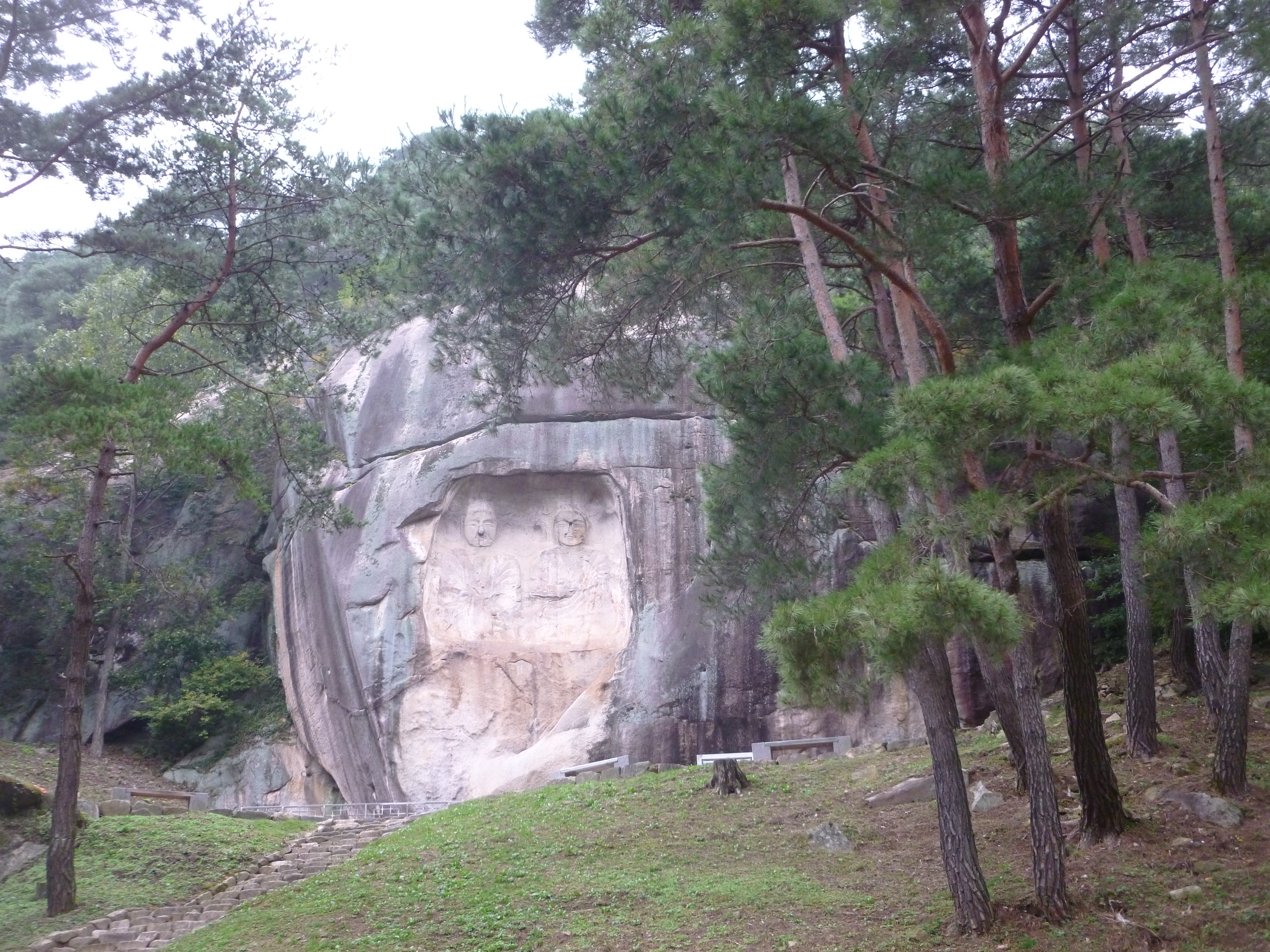 P1030643.jpg
