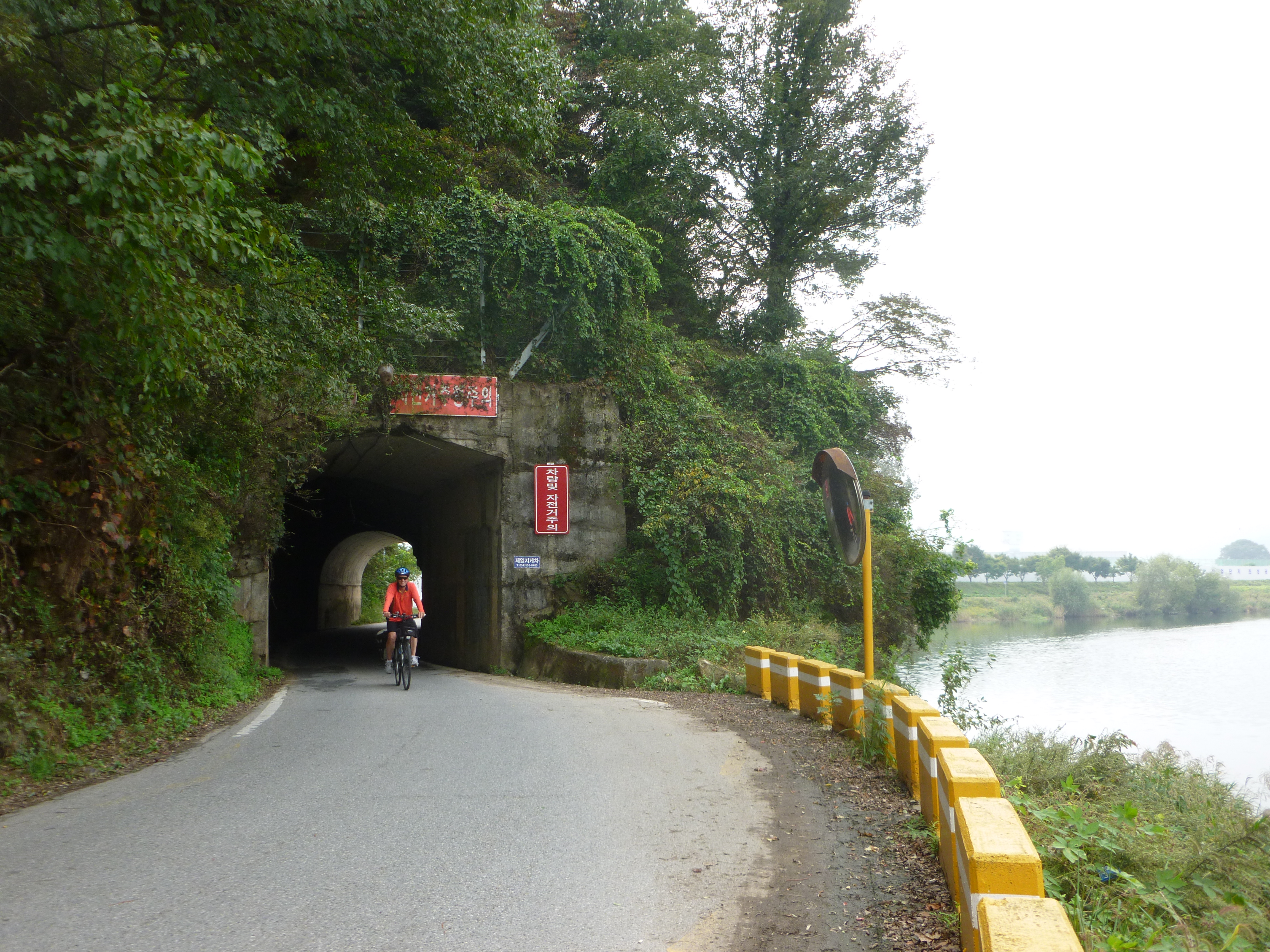 P1030684.jpg