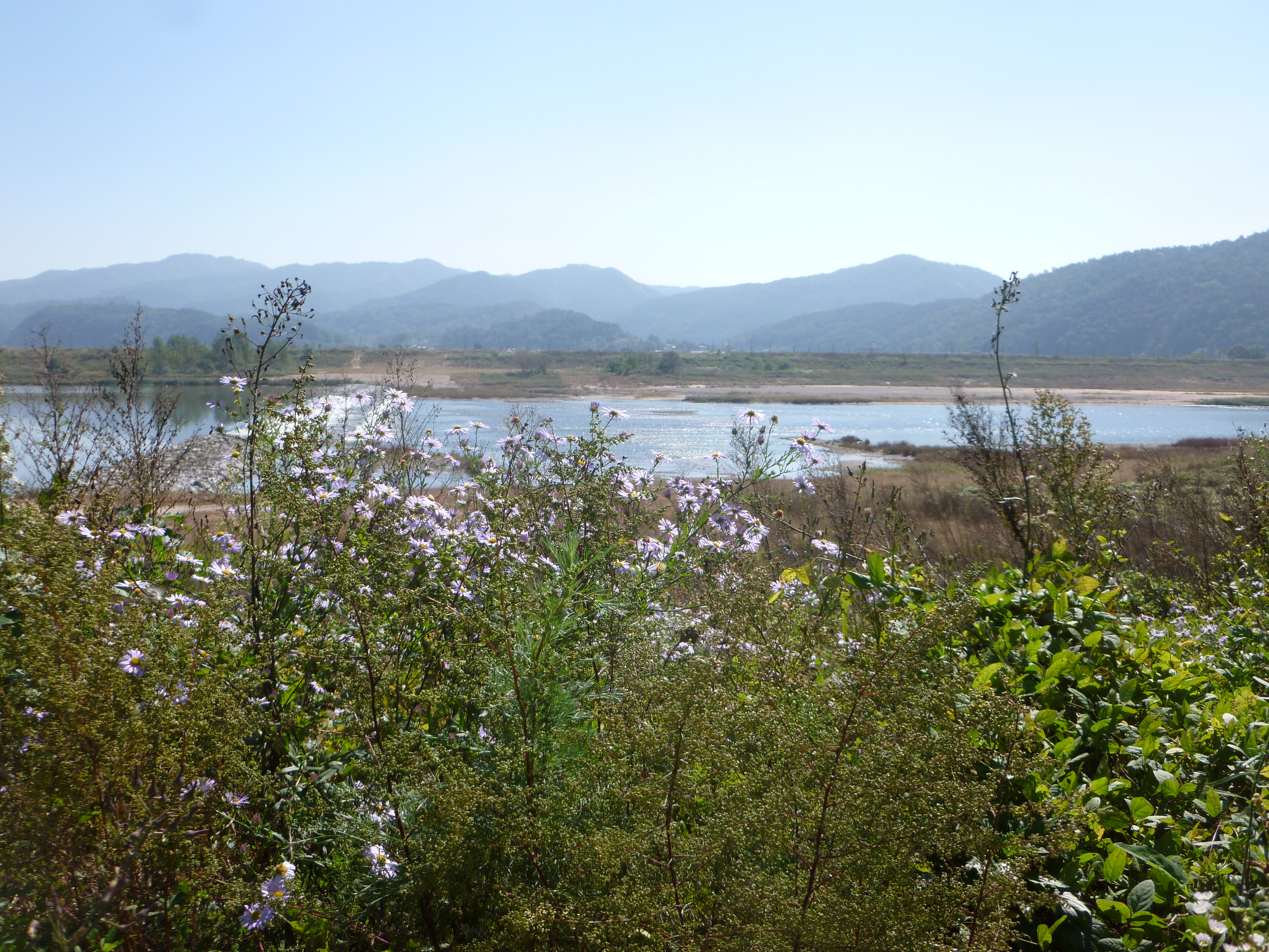 P1030741.jpg