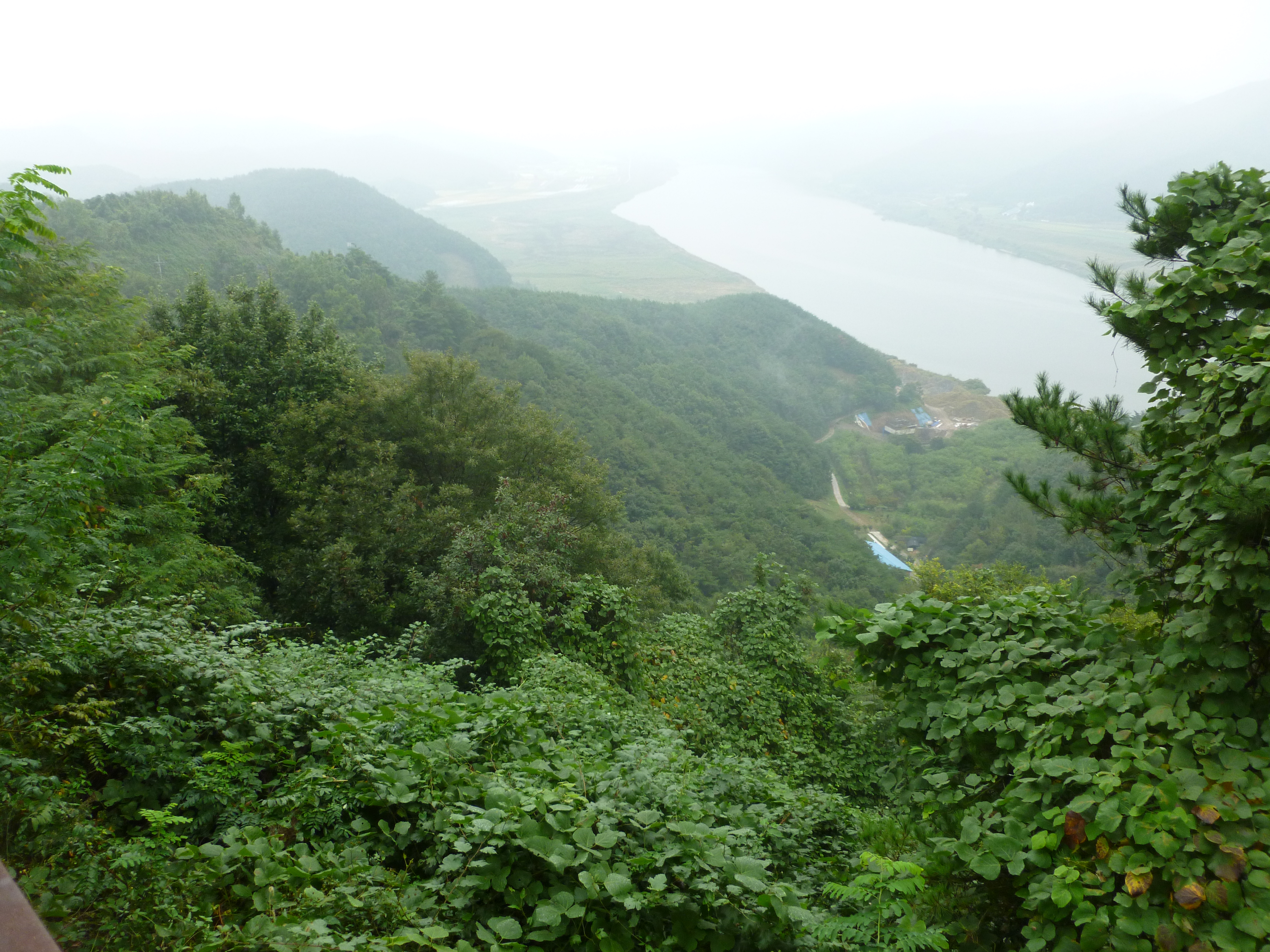 P1030860.jpg