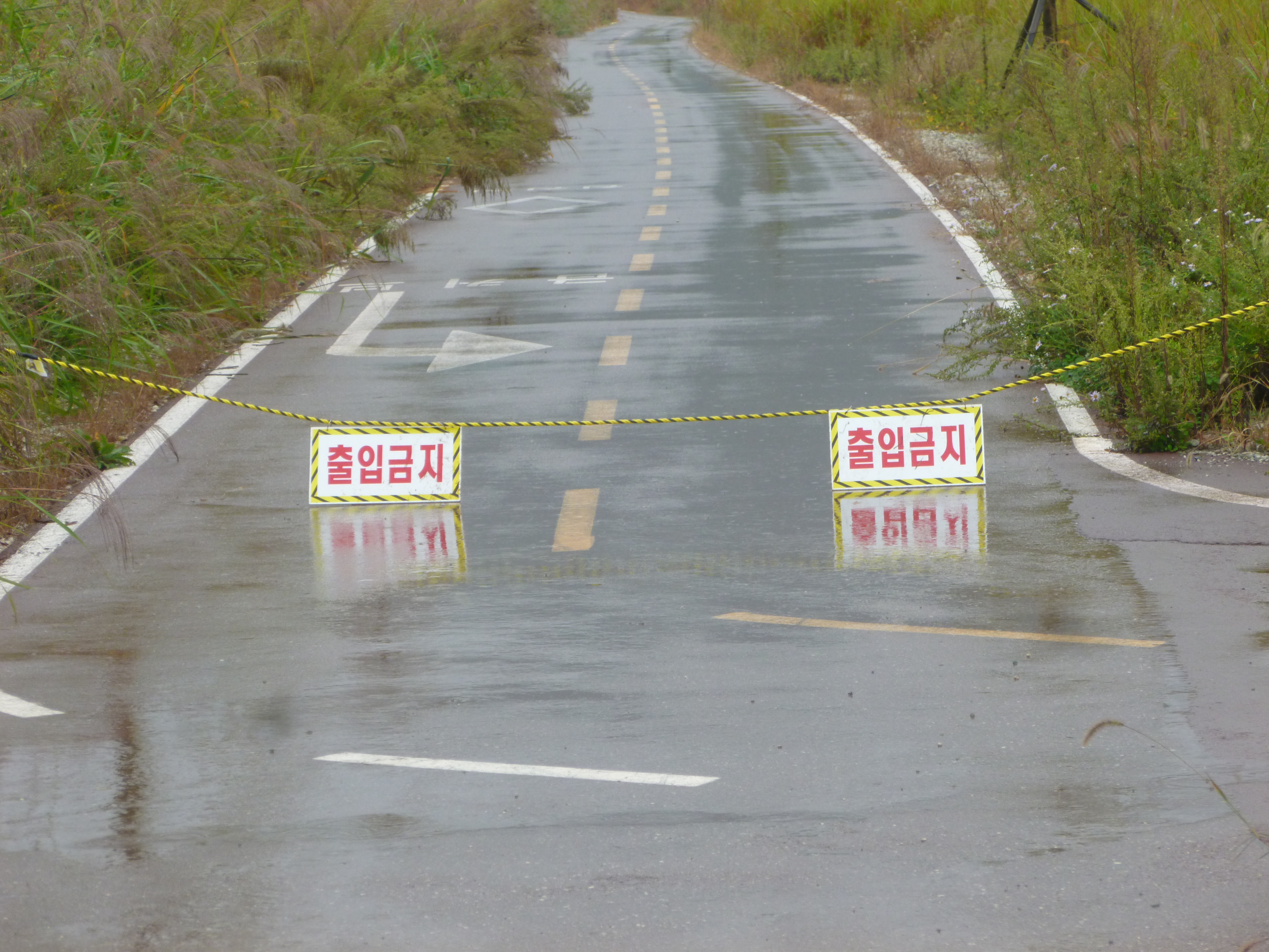 P1030879.jpg
